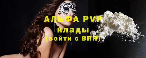крисы Коряжма