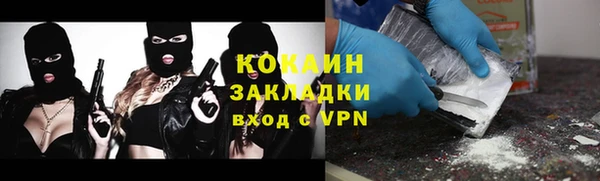 крисы Коряжма