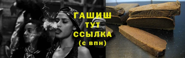 крисы Коряжма