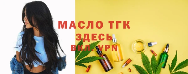 крисы Коряжма