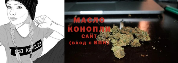 крисы Коряжма