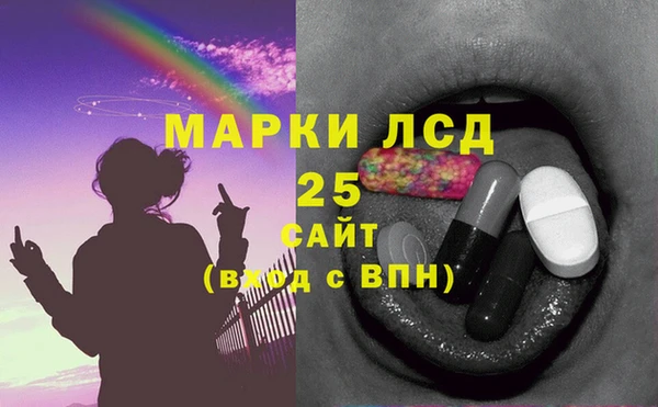 крисы Коряжма