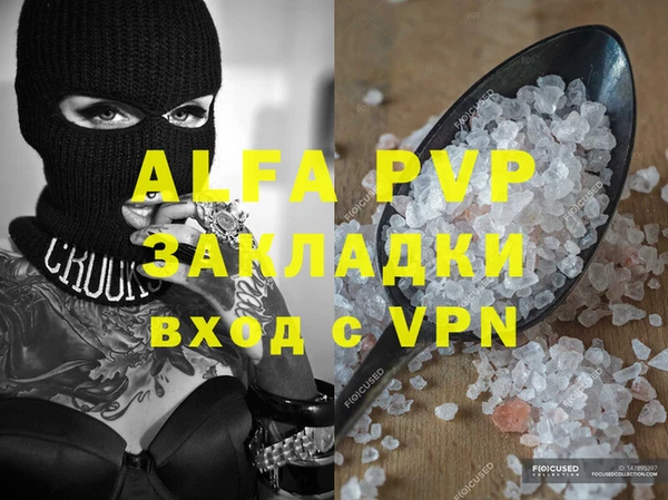 крисы Коряжма