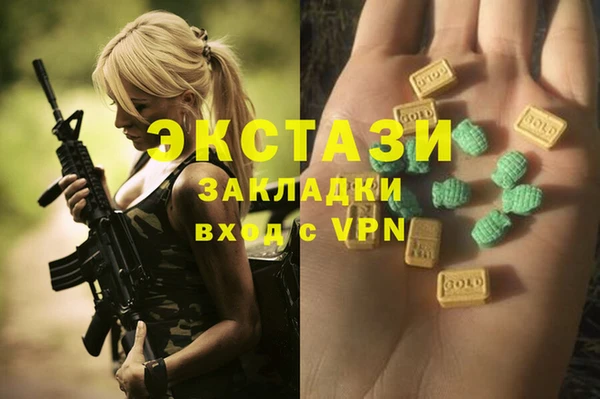 крисы Коряжма