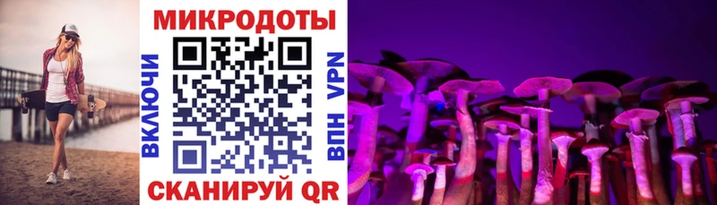 Купить  Купино  Псилоцибиновые грибы MAGIC MUSHROOMS 